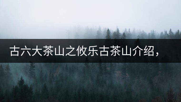 古六大茶山之攸樂古茶山介紹，攸樂古樹茶口感特點(diǎn)