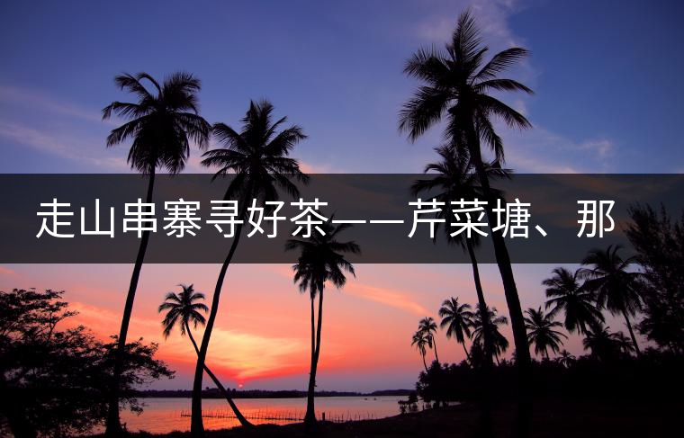 走山串寨尋好茶——芹菜塘、那罕、曼崗、昔歸