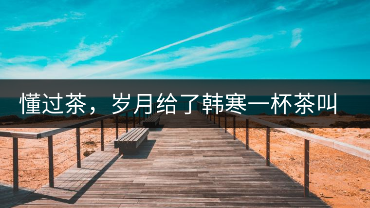 懂過茶，歲月給了韓寒一杯茶叫懂過