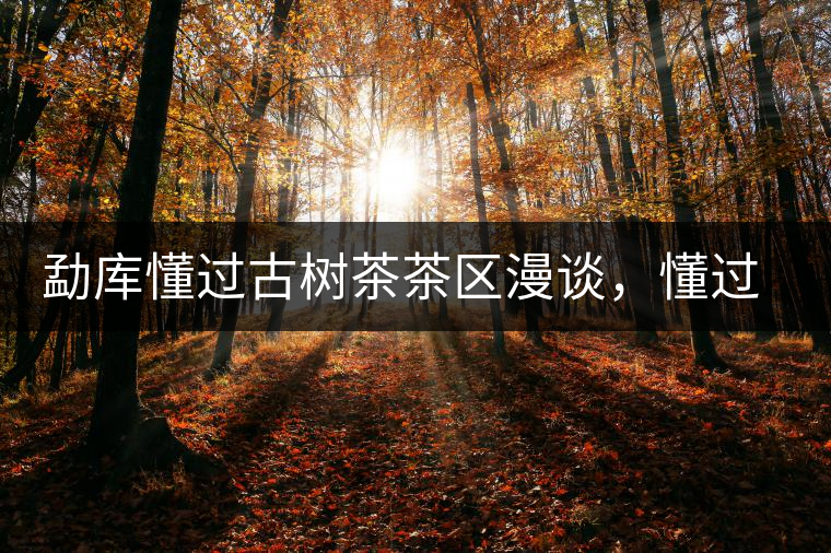 勐庫懂過古樹茶茶區(qū)漫談，懂過古樹茶的特點