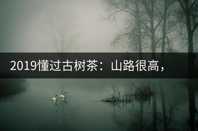 2019懂過(guò)古樹(shù)茶：山路很高，可仍然有執(zhí)著走向深山的人