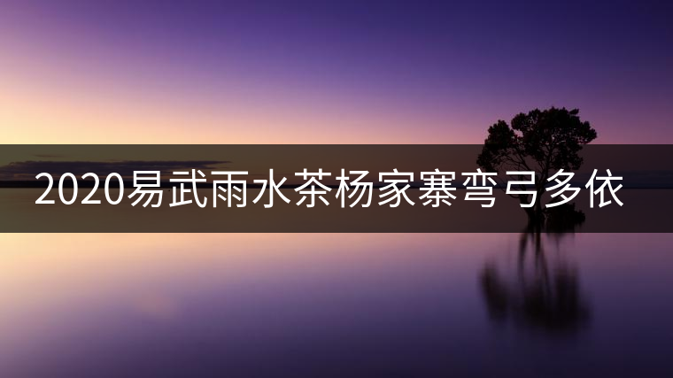 2020易武雨水茶楊家寨彎弓多依樹(shù)