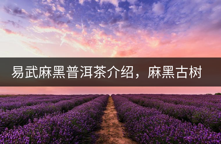 易武麻黑普洱茶介紹，麻黑古樹茶口感特點