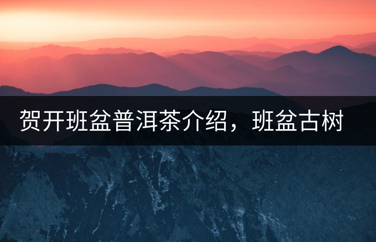 賀開班盆普洱茶介紹，班盆古樹茶口感特點