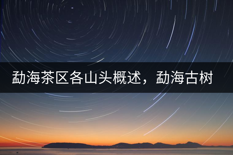 勐海茶區(qū)各山頭概述，勐海古樹茶口感特點