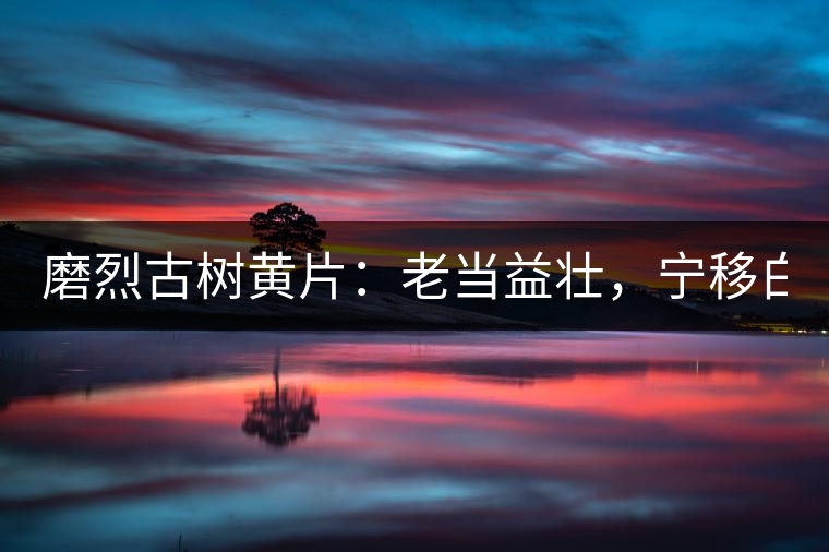 磨烈古樹黃片：老當(dāng)益壯，寧移白首之心！