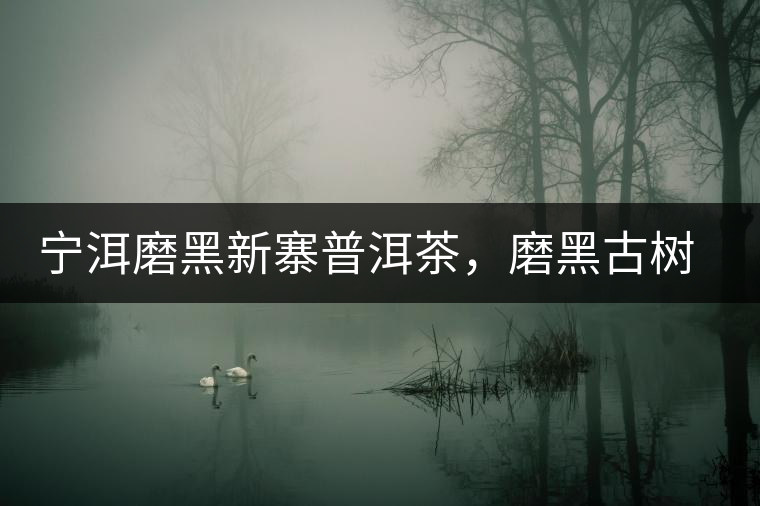 寧洱磨黑新寨普洱茶，磨黑古樹茶口感特點(diǎn)