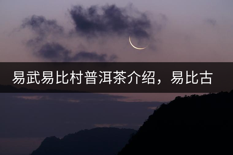 易武易比村普洱茶介紹，易比古樹茶口感特點(diǎn)