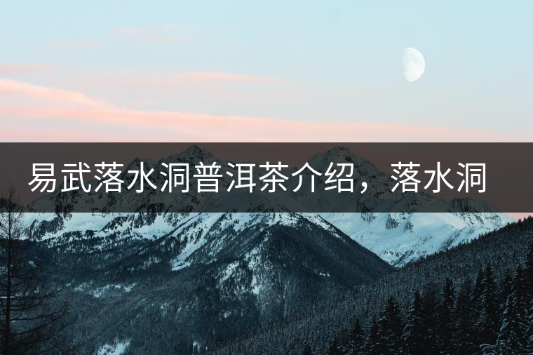 易武落水洞普洱茶介紹，落水洞古樹茶口感特點(diǎn)