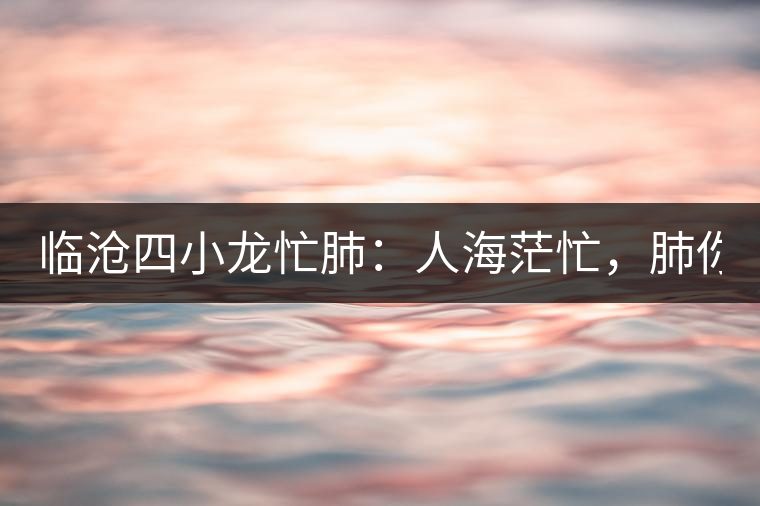 臨滄四小龍忙肺：人海茫忙，肺你莫屬！