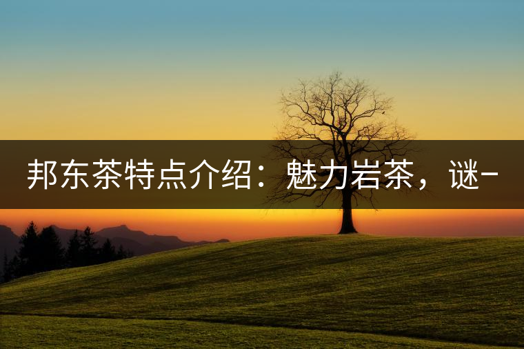 邦東茶特點(diǎn)介紹：魅力巖茶，謎一樣的邦東！