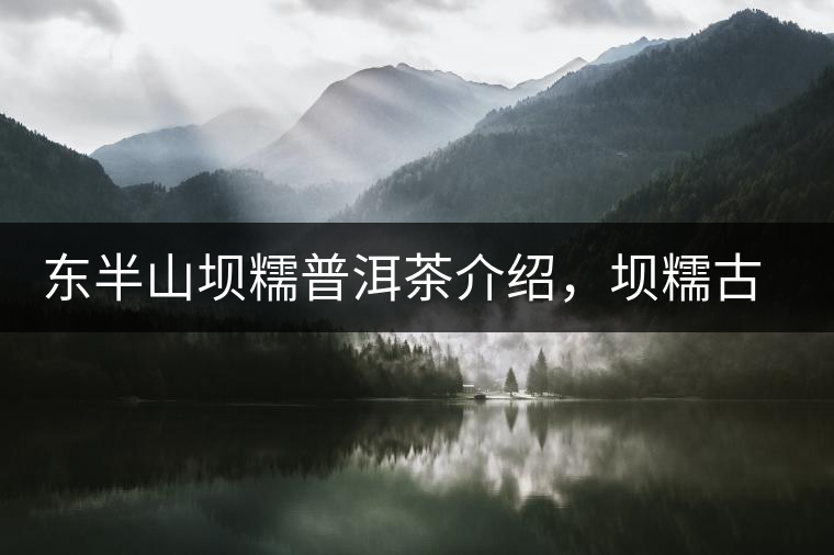 東半山壩糯普洱茶介紹，壩糯古樹(shù)茶口感特點(diǎn)