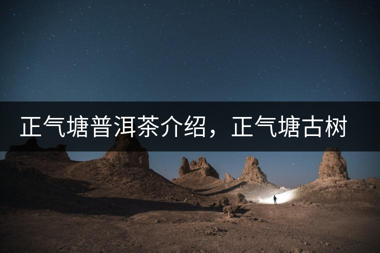 正氣塘普洱茶介紹，正氣塘古樹(shù)茶口感特點(diǎn)