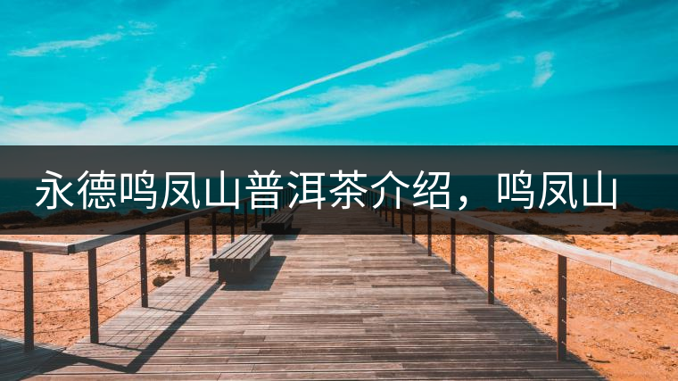 永德鳴鳳山普洱茶介紹，鳴鳳山古樹(shù)茶口感特點(diǎn)