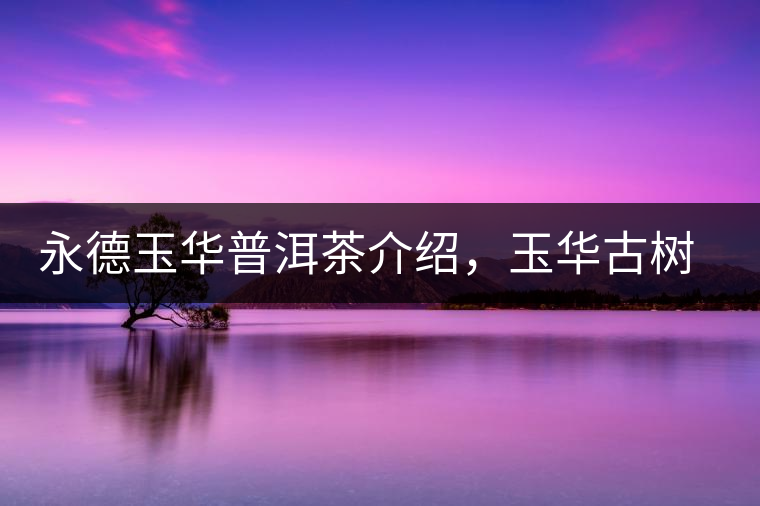 永德玉華普洱茶介紹，玉華古樹茶口感特點