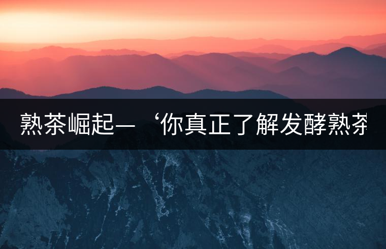 熟茶崛起—‘你真正了解發(fā)酵熟茶？’