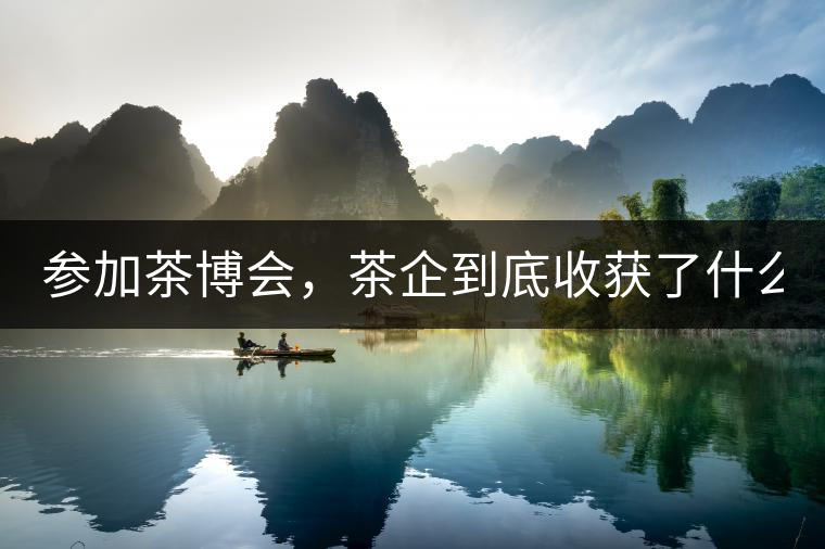 參加茶博會，茶企到底收獲了什么？