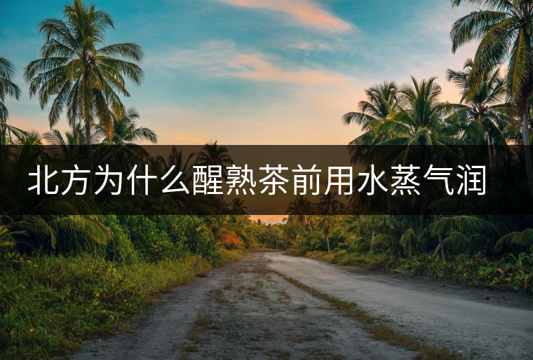 北方為什么醒熟茶前用水蒸氣潤(rùn)一下？有何用處？