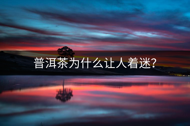 普洱茶為什么讓人著迷？