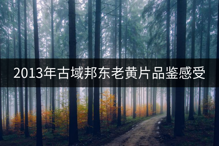 2013年古域邦東老黃片品鑒感受