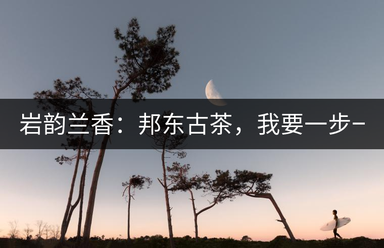 巖韻蘭香：邦東古茶，我要一步一步往上爬！