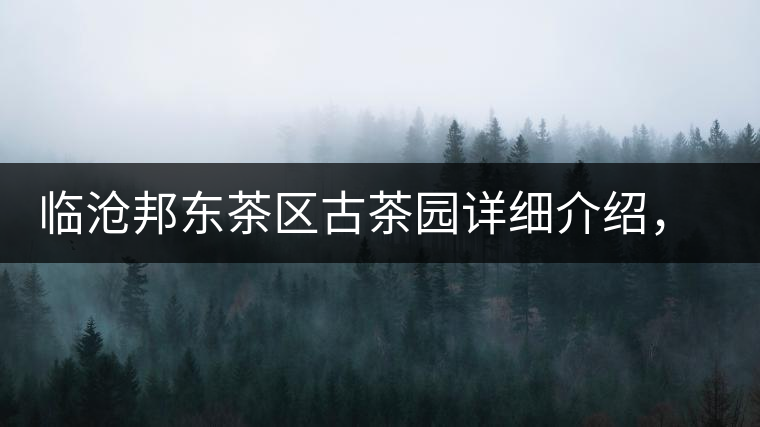 臨滄邦東茶區(qū)古茶園詳細(xì)介紹，邦東古樹茶特點(diǎn)