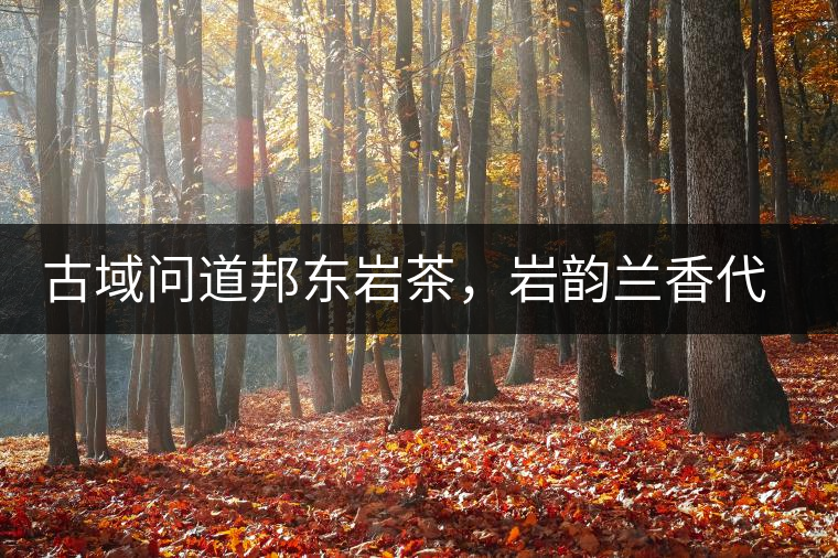 古域問道邦東巖茶，巖韻蘭香代表邦東古樹茶特點