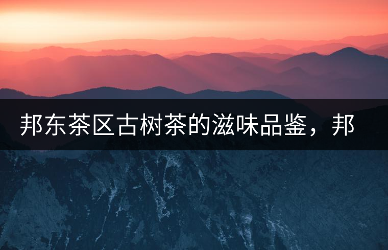 邦東茶區(qū)古樹茶的滋味品鑒，邦東普洱茶特點