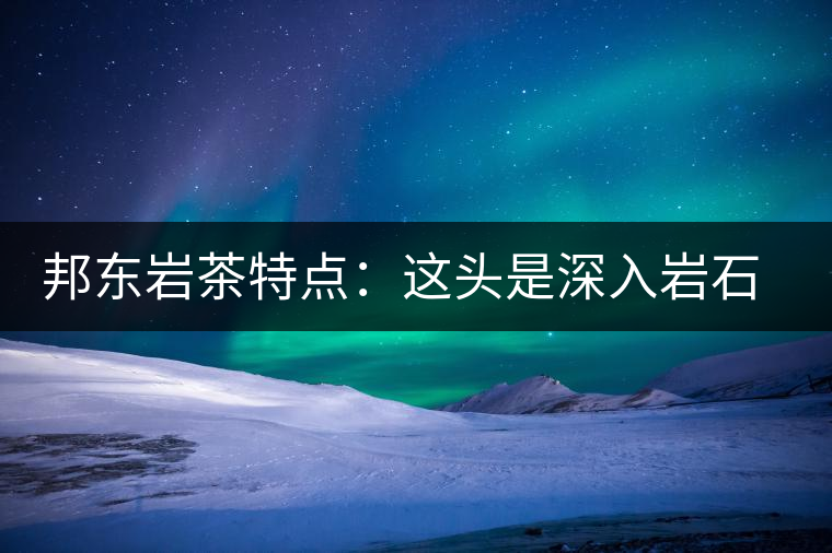 邦東巖茶特點：這頭是深入巖石的根，那頭是臨風飄香的古韻