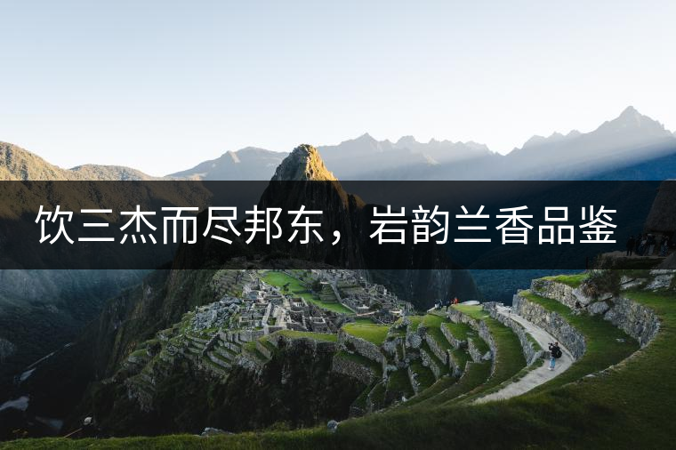 飲三杰而盡邦東，巖韻蘭香品鑒：生于山石上，韻味正當(dāng)