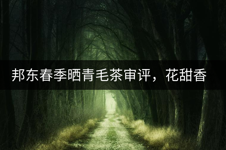 邦東春季曬青毛茶審評，花甜香高揚甘爽潤滑