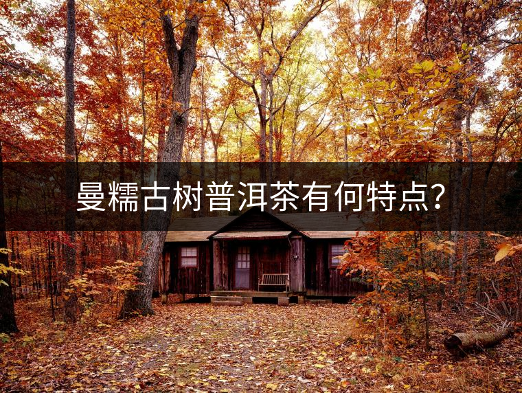 曼糯古樹普洱茶有何特點(diǎn)？