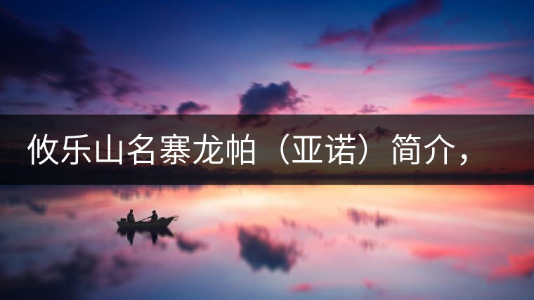 攸樂山名寨龍帕（亞諾）簡介，亞諾古樹茶特點(diǎn)