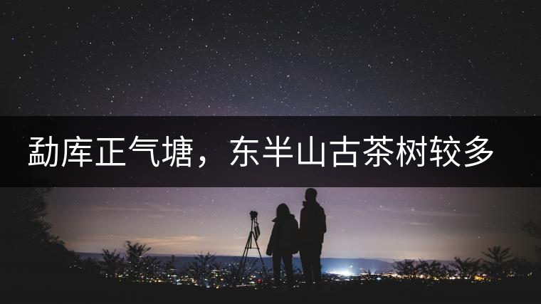 勐庫正氣塘，東半山古茶樹較多的寨子