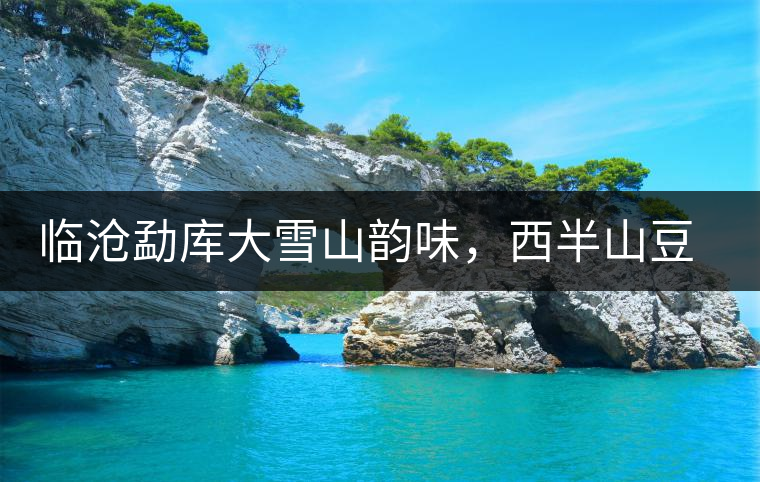 臨滄勐庫大雪山韻味，西半山豆腐寨古樹茶