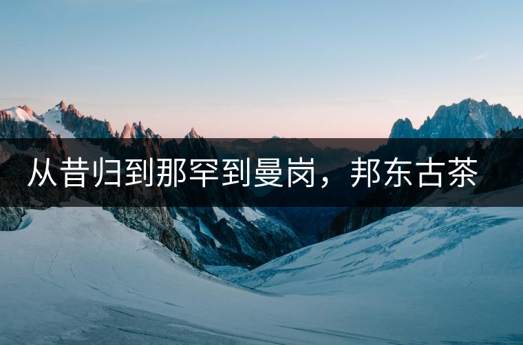 從昔歸到那罕到曼崗，邦東古茶藏著一條規(guī)律！