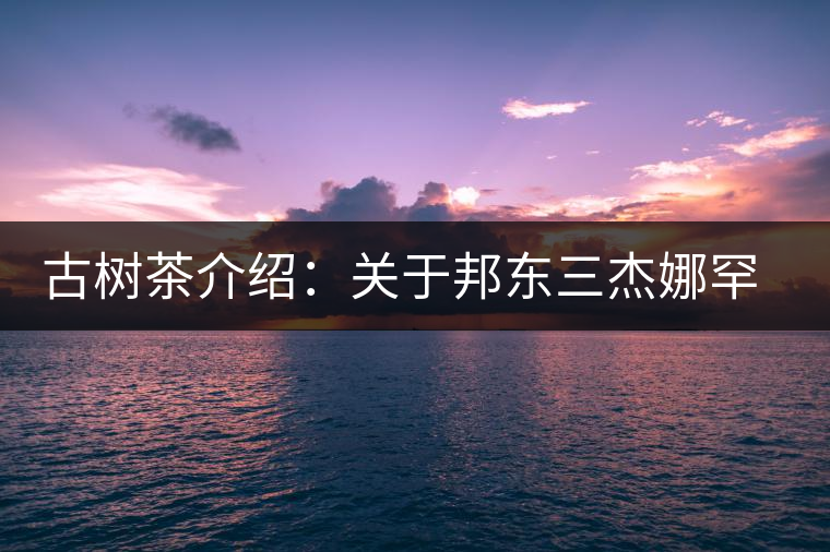 古樹茶介紹：關于邦東三杰娜罕的一些冷知識