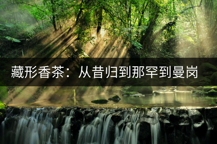 藏形香茶：從昔歸到那罕到曼崗，邦東古茶藏著一條規(guī)律！