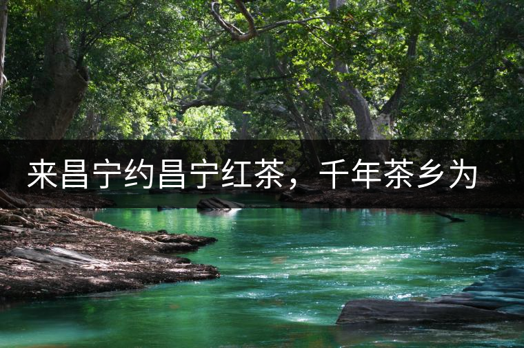 來昌寧約昌寧紅茶，千年茶鄉(xiāng)為您開啟生態(tài)之旅