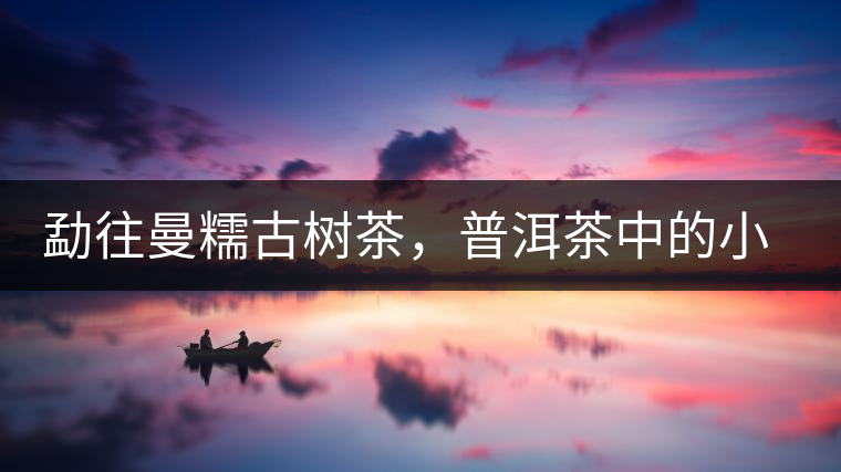 勐往曼糯古樹茶，普洱茶中的小班章