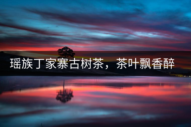 瑤族丁家寨古樹茶，茶葉飄香醉萬家
