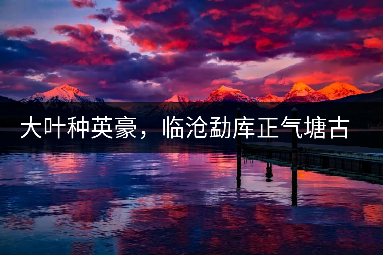 大葉種英豪，臨滄勐庫(kù)正氣塘古樹(shù)茶介紹