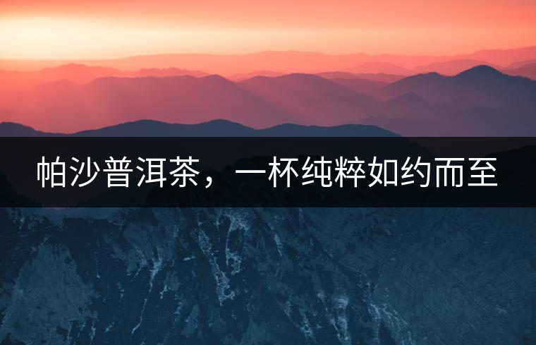 帕沙普洱茶，一杯純粹如約而至