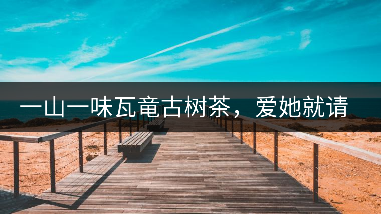 一山一味瓦竜古樹茶，愛她就請(qǐng)尊重她