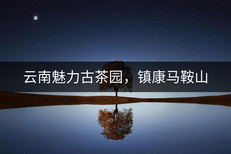云南魅力古茶園，鎮(zhèn)康馬鞍山