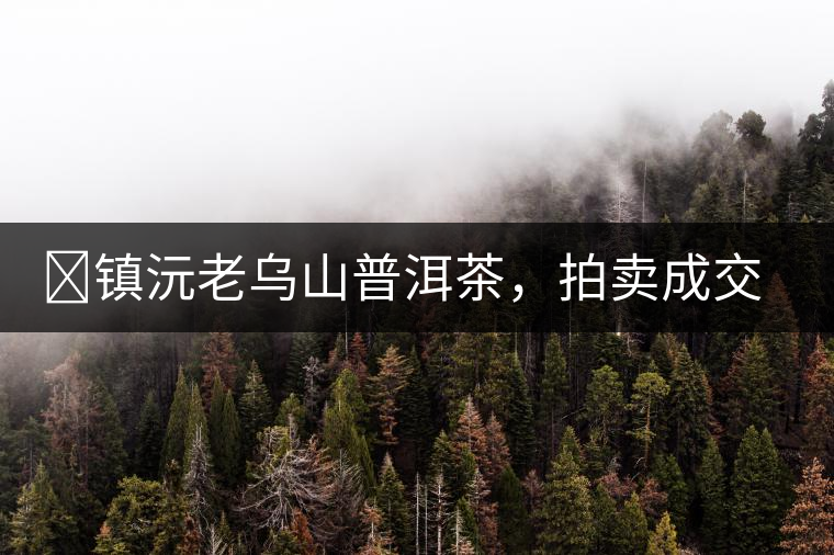 ?鎮(zhèn)沅老烏山普洱茶，拍賣成交價再創(chuàng)新高