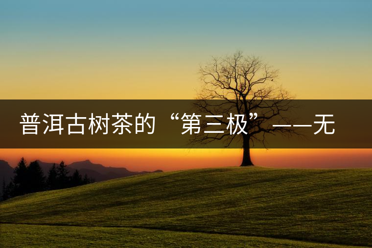 普洱古樹茶的“第三極”——無量山茶區(qū)