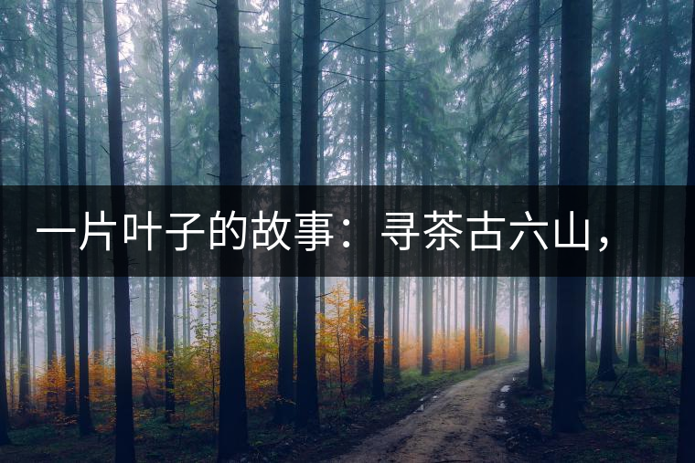 一片葉子的故事：尋茶古六山，倚邦最神秘