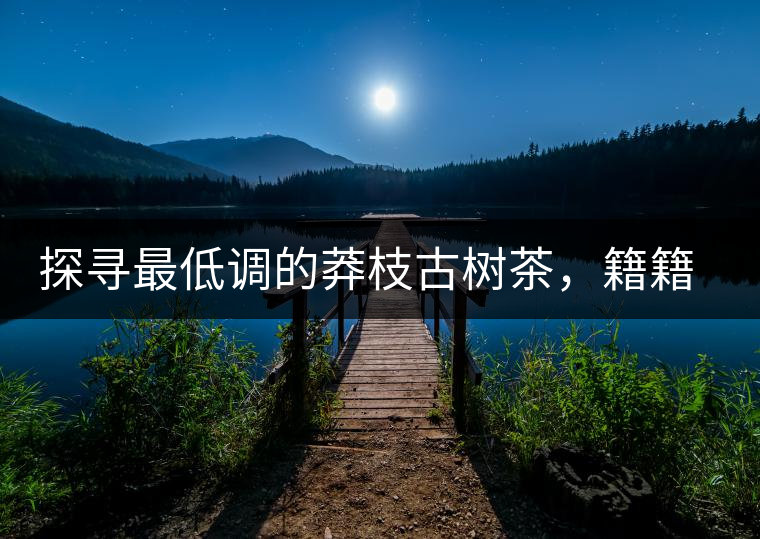 探尋最低調的莽枝古樹茶，籍籍無名出好茶