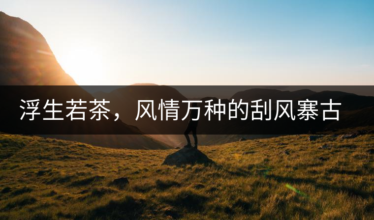 浮生若茶，風(fēng)情萬種的刮風(fēng)寨古樹茶